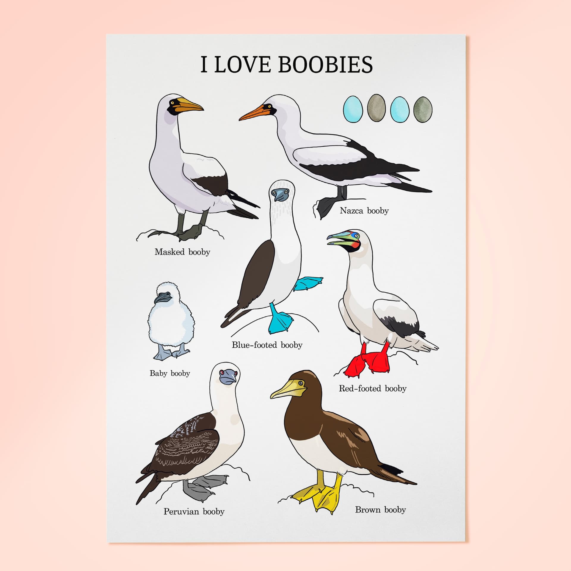I love boobies - פרינט A3